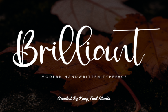 Brilliant: The Playful Script for Modern Designers