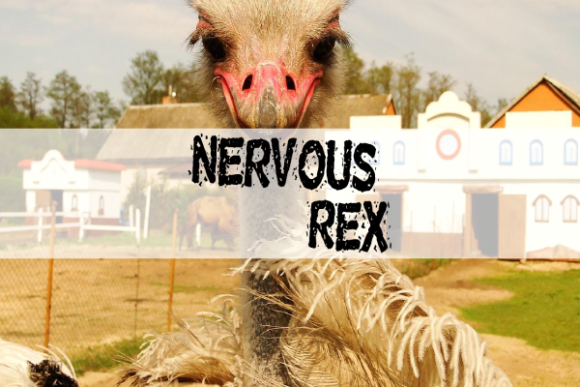 Nervous Rex: A Creative Display Font for Bold Brands